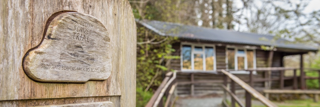 Things to do around Crinan