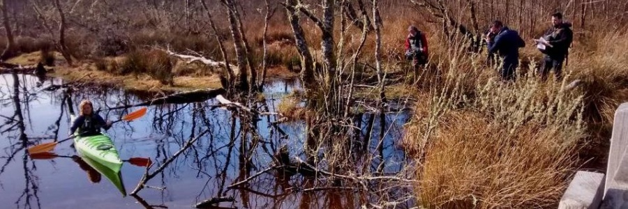 Heart of Argyll Wildlife Organisation