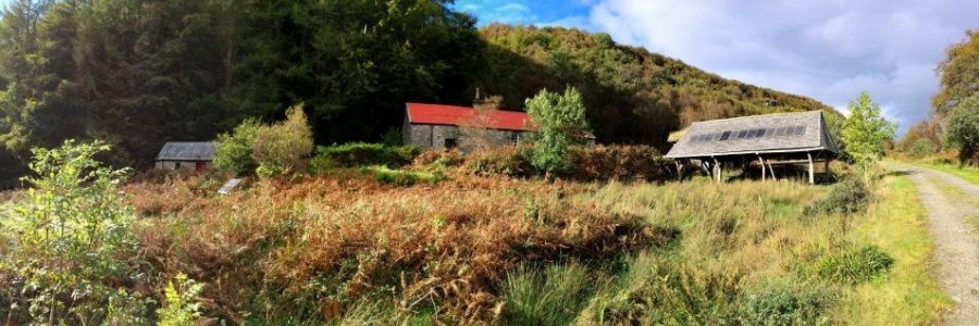 Heart of Argyll Wildlife Organisation