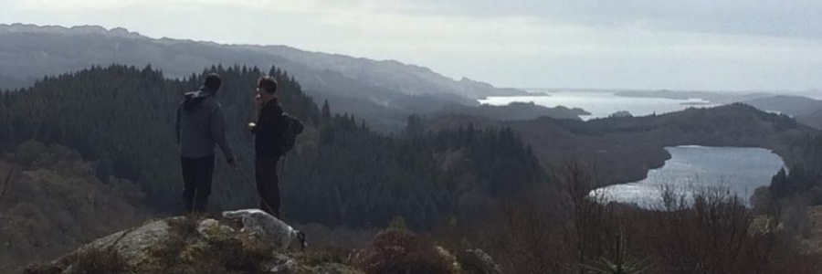 Heart of Argyll Wildlife Organisation