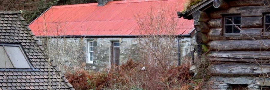 Heart of Argyll Wildlife Organisation