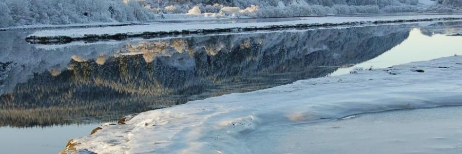 Heart of Argyll Wildlife Organisation