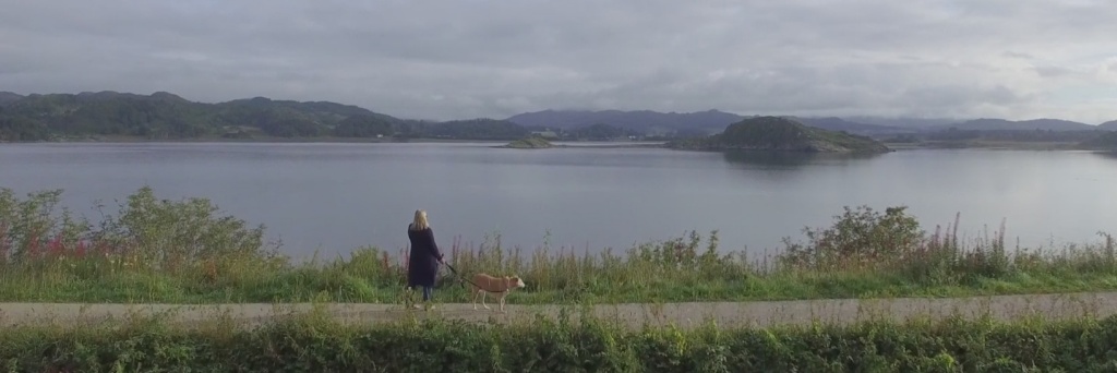 Dogs at the Crinan Hotel - A variety of local walks