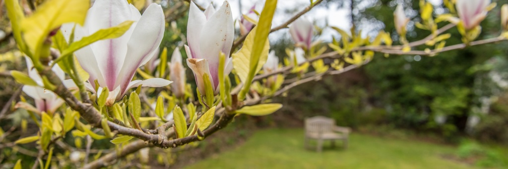 The secret garden at Crinan Hotel